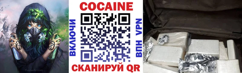 COCAIN Fish Scale  Купить закладки  Вихоревка 
