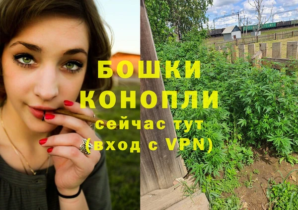 молекула духа Вяземский