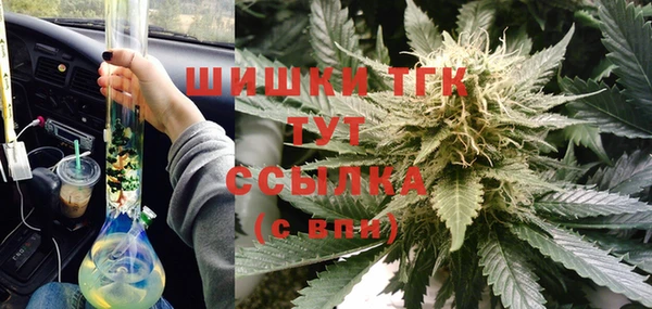 молекула духа Вяземский