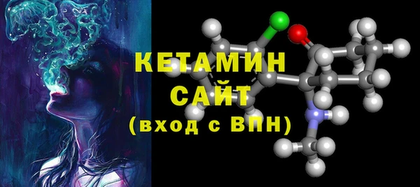 молекула духа Вяземский
