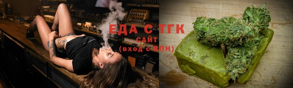 молекула духа Вяземский