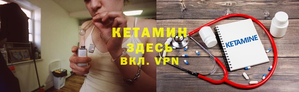 молекула духа Вяземский