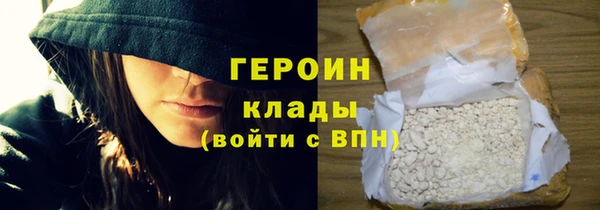 молекула духа Вяземский