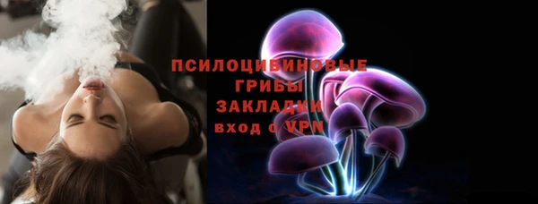 молекула духа Вяземский