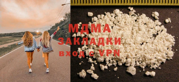 молекула духа Вяземский