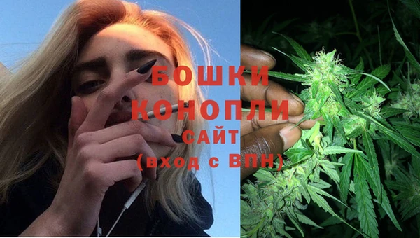 шишки Горнозаводск