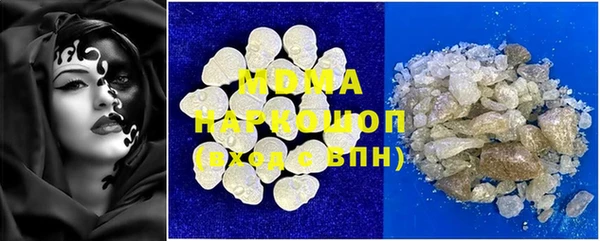 молекула духа Вяземский
