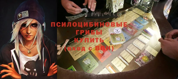 молекула духа Вяземский