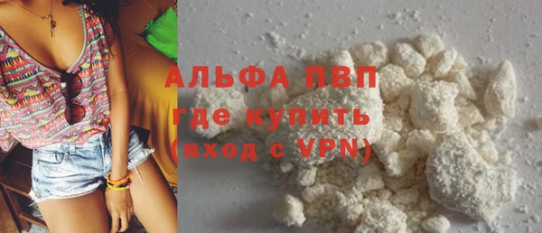 молекула духа Вяземский