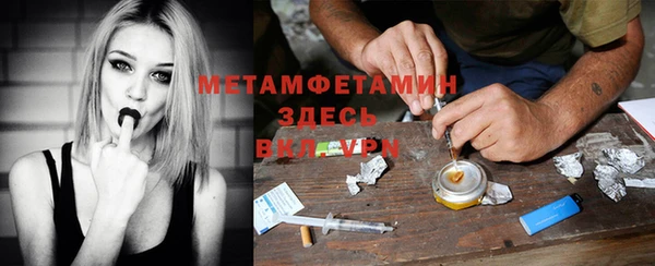 молекула духа Вяземский