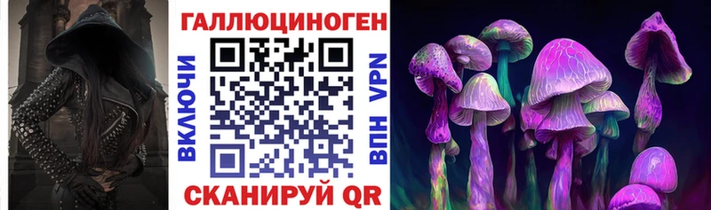 Купить закладки  Вихоревка  Галлюциногенные грибы Psilocybe 