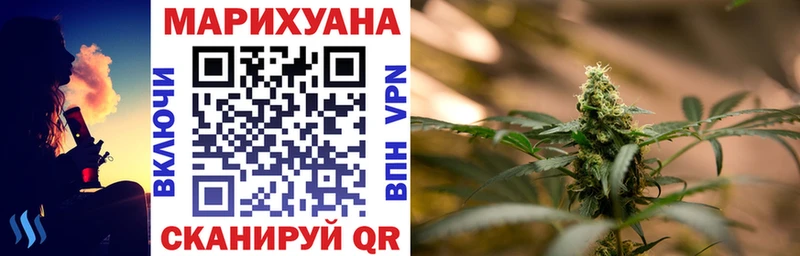 Купить где  Вихоревка  Канабис индика 